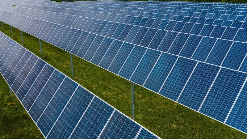 Rows of solar panels across a photovoltaic array