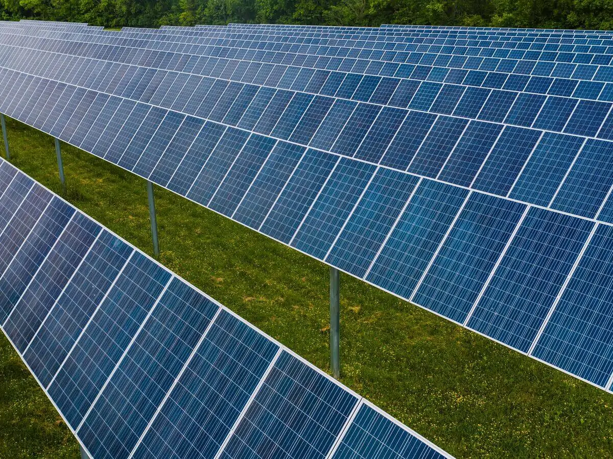 Rows of solar panels across a photovoltaic array